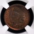 1901 Bronze Indian Cent 1C NGC MS63RB