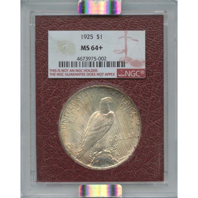1925 Peace Silver Dollar Paramount NGC MS64+